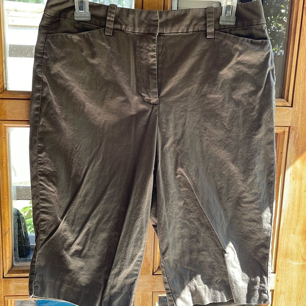 Talbots petites shorts